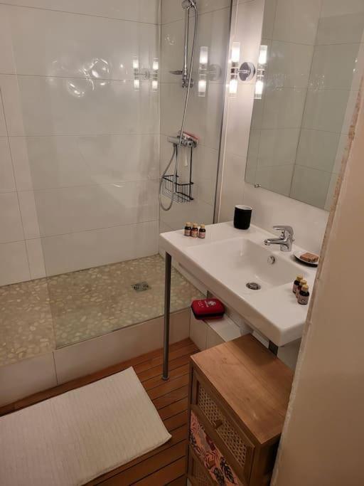 Appartement Luxe "La Providence" , Plein Centre Vichy Bagian luar foto