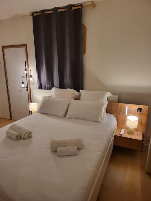 Appartement Luxe "La Providence" , Plein Centre Vichy Bagian luar foto